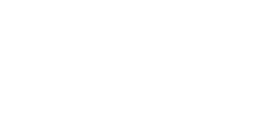 SPEEDジャッジCOSTカット?混載便のエキスパート?