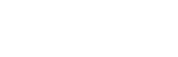 EXPERT 中ロット混載便のエキスパート